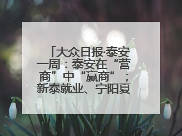 大众日报·泰安一周：泰安在“营商”中“赢商”；新泰就业、宁阳夏收工作上要闻