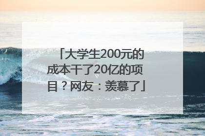 大学生200元的成本干了20亿的项目？网友：羡慕了