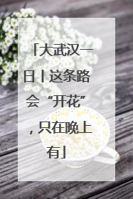 大武汉一日丨这条路会“开花”，只在晚上有