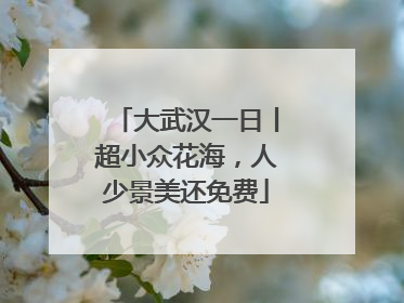 大武汉一日丨超小众花海，人少景美还免费