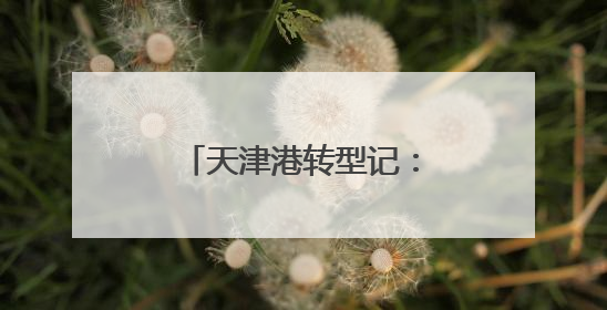 天津港转型记：一个港口的智慧突围与绿色实验