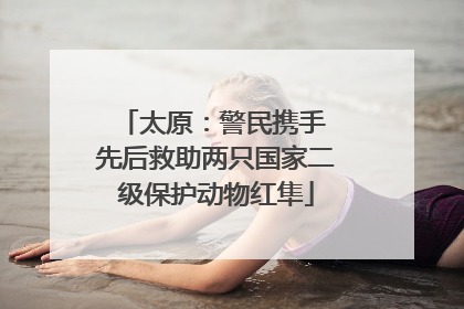 太原：警民携手 先后救助两只国家二级保护动物红隼