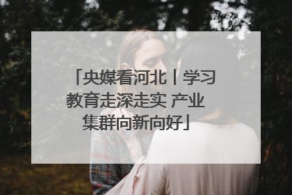 央媒看河北丨学习教育走深走实 产业集群向新向好