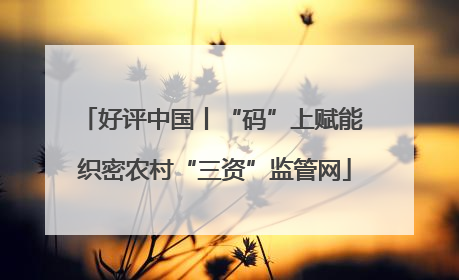 好评中国丨“码”上赋能 织密农村“三资”监管网