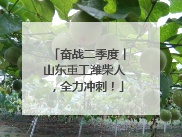 奋战二季度丨山东重工潍柴人，全力冲刺！