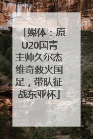 媒体：原U20国青主帅久尔杰维奇救火国足，带队征战东亚杯