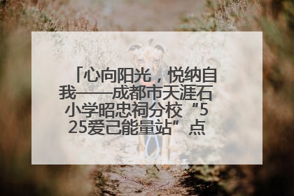 心向阳光，悦纳自我——成都市天涯石小学昭忠祠分校“525爱己能量站”点亮孩子心灵之旅