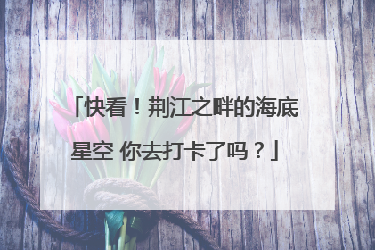 快看！荆江之畔的海底星空 你去打卡了吗？