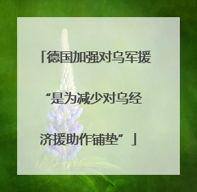 德国加强对乌军援 “是为减少对乌经济援助作铺垫”