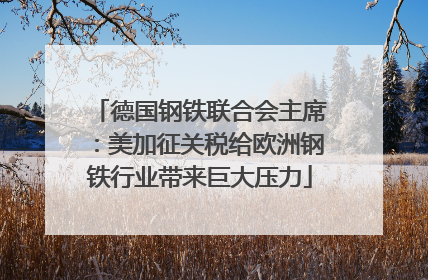 德国钢铁联合会主席：美加征关税给欧洲钢铁行业带来巨大压力