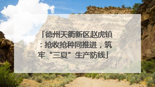 德州天衢新区赵虎镇：抢收抢种同推进，筑牢“三夏”生产防线