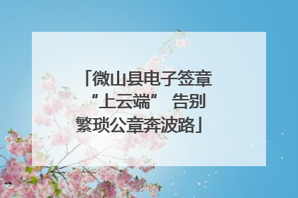 微山县电子签章“上云端” 告别繁琐公章奔波路