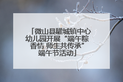 微山县驩城镇中心幼儿园开展“端午粽香情 师生共传承”端午节活动