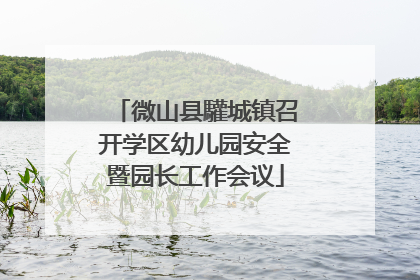 微山县驩城镇召开学区幼儿园安全暨园长工作会议