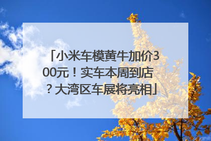 小米车模黄牛加价300元！实车本周到店？大湾区车展将亮相