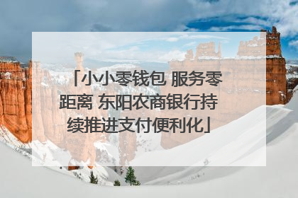 小小零钱包 服务零距离 东阳农商银行持续推进支付便利化