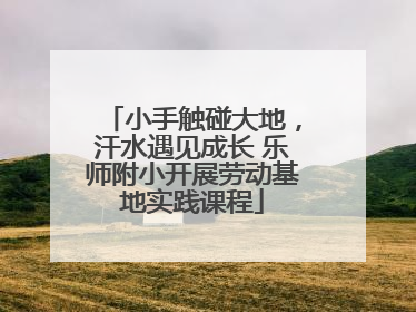 小手触碰大地，汗水遇见成长 乐师附小开展劳动基地实践课程