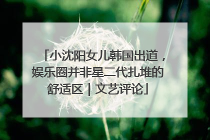 小沈阳女儿韩国出道，娱乐圈并非星二代扎堆的舒适区｜文艺评论