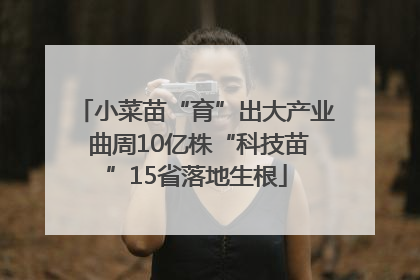 小菜苗“育”出大产业 曲周10亿株“科技苗”15省落地生根