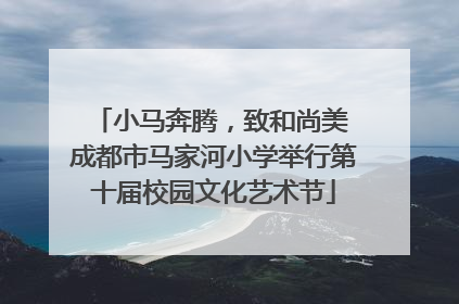 小马奔腾，致和尚美 成都市马家河小学举行第十届校园文化艺术节
