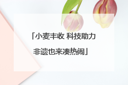 小麦丰收 科技助力 非遗也来凑热闹