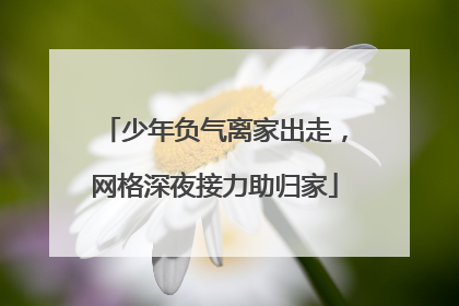 少年负气离家出走，网格深夜接力助归家