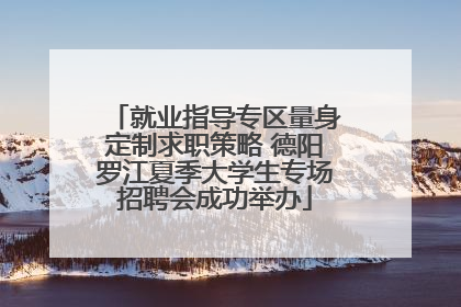 就业指导专区量身定制求职策略 德阳罗江夏季大学生专场招聘会成功举办