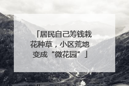 居民自己筹钱栽花种草，小区荒地变成“微花园”