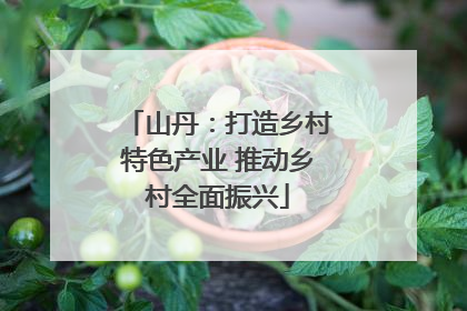 山丹：打造乡村特色产业 推动乡村全面振兴