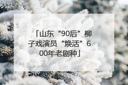 山东“90后”柳子戏演员“焕活”600年老剧种
