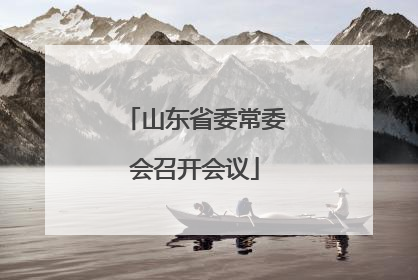山东省委常委会召开会议