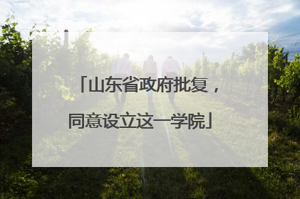 山东省政府批复，同意设立这一学院