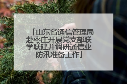 山东省通信管理局赴枣庄开展党支部联学联建并调研通信业防汛准备工作