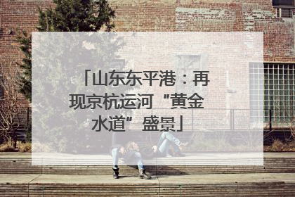 山东东平港：再现京杭运河“黄金水道”盛景