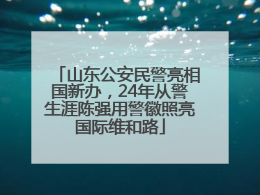 山东公安民警亮相国新办，24年从警生涯陈强用警徽照亮国际维和路