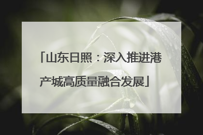 山东日照：深入推进港产城高质量融合发展