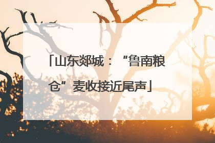 山东郯城：“鲁南粮仓”麦收接近尾声