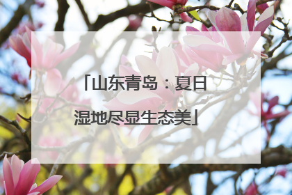 山东青岛：夏日湿地尽显生态美