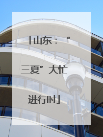 山东：“三夏”大忙进行时