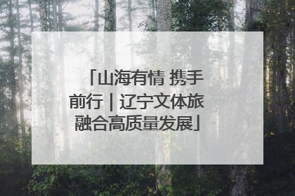 山海有情 携手前行｜辽宁文体旅融合高质量发展
