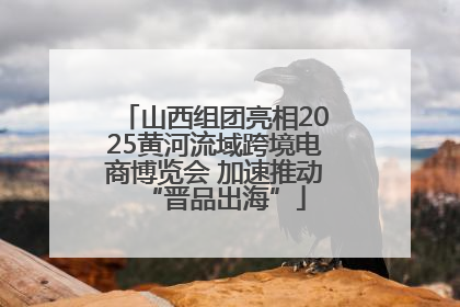 山西组团亮相2025黄河流域跨境电商博览会 加速推动“晋品出海”