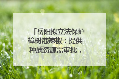 岳阳拟立法保护樟树港辣椒：提供种质资源需审批，违规最高罚5万
