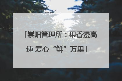崇阳管理所：果香漫高速 爱心“鲜”万里