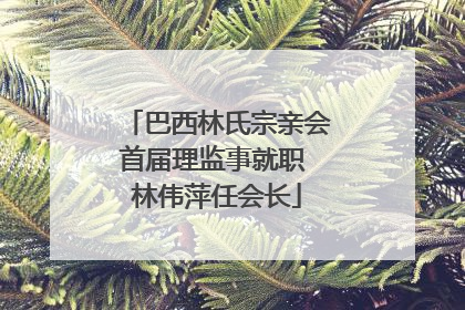 巴西林氏宗亲会首届理监事就职 林伟萍任会长