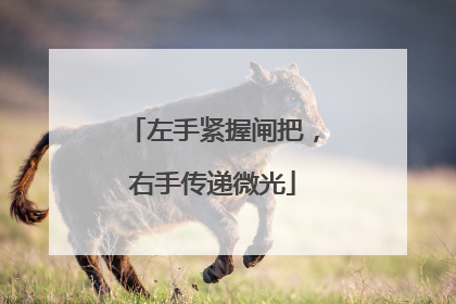 左手紧握闸把，右手传递微光
