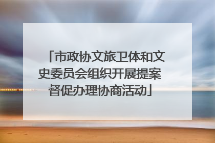 市政协文旅卫体和文史委员会组织开展提案督促办理协商活动