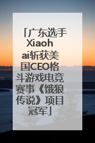 广东选手Xiaohai斩获美国CEO格斗游戏电竞赛事《饿狼传说》项目冠军