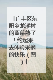 广丰区东阳乡龙溪村的蓝莓熟了！约起来 去体验采摘的快乐（图）
