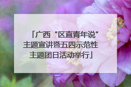 广西“区直青年说”主题宣讲暨五四示范性主题团日活动举行