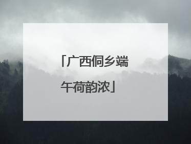 广西侗乡端午荷韵浓